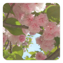 Double Blossoming Cherry Tree Square Sticker