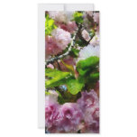 Double Cherry Blossoms