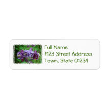 Double Columbine Labels