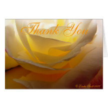 Double D Rose Thank You Note Card