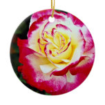 Double Delight Hybrid Tea Rose 'Andeli' White flow Christmas Tree Ornaments