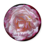 Double Delight Rose Magnet