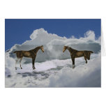 Double Dixon Greeting Cards