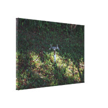 Double outlet water spigot canvas prints