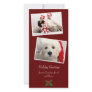 Double Photo Family Holiday Christmas Photo Card
