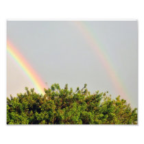 Double Rainbow Photo with sky and trees