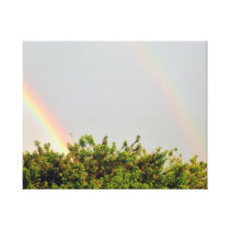 Double Rainbow Photo with sky and trees Canvas Print