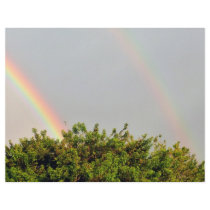 Double Rainbow Photo with sky and trees Full Color Flyer