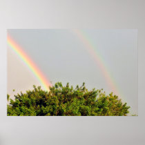 Double Rainbow Photo with sky and trees Posters