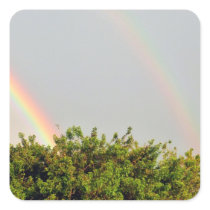 Double Rainbow Photo with sky and trees Sticker