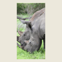 Double Rhino's photo cards