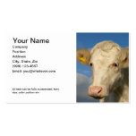 Double sided Farming Business Card
