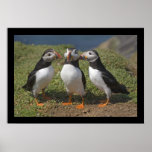 Double Trouble Poster