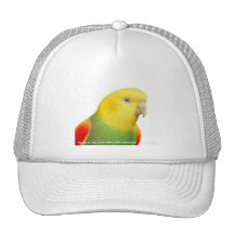 Double Yellow Headed Amazon Hat