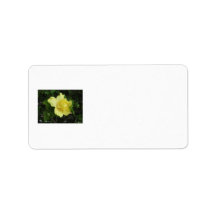 Double Yellow Hibiscus 1 Address Label
