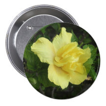 Double Yellow Hibiscus 1 Buttons