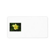 Double Yellow Hibiscus 1 Painterly Address Label