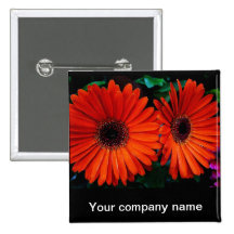 doubles fleurs oranges de marguerite de couleur pin's avec agrafe
