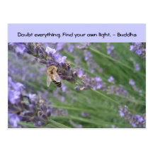 Doubt everything. Find your own light... Postcard