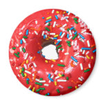 Doughnut Magnet
