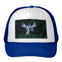 DouglasIris Hats