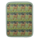 Douille multiple de Rickshaw d'alpaga Housses iPad