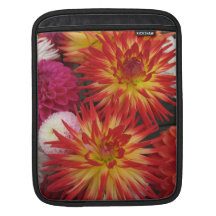 Douille rouge d'ordinateur portable de dahlia housses iPad