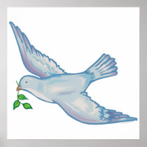 Dove C Poster