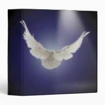 Dove flying through beam of light vinyl binder
