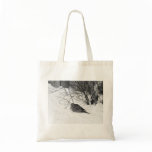 Dove in the Snow Bag
