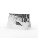 Dove in the Snow Card