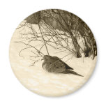 Dove in the Snow Magnet