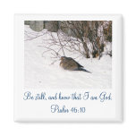 Dove in the Snow Scipture Magnet