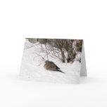 Dove in the Snow  Scripture Card