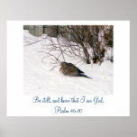 Dove in the Snow Scripture Poster