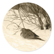 Dove in the Snow Stickers