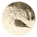 Dove in the Snow Stickers