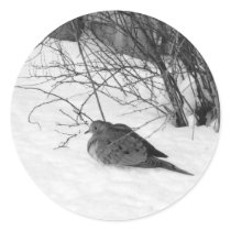 Dove in the Snow Stickers