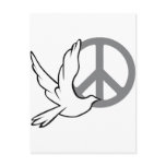 Dove of Peace Post Card