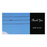 Dove on the wire custom photo card