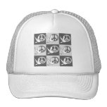 dove peace hat