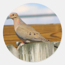 Dove Stickers