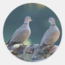 Doves Stickers