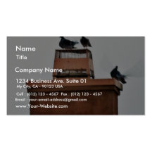 Doves With Birds Business Card Templates