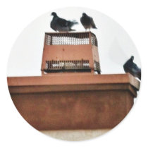 Doves With Birds Round Sticker