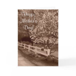 Down A Country Lane Cards
