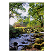 'Down By The River' Greeting Card