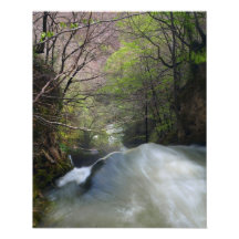 Down it Goes Photo Art