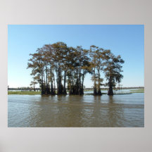 Down on the Bayou Posters
