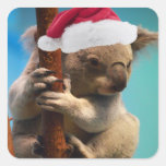 Down Under Christmas Koala Square Sticker
